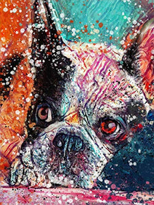 Boston Terrier Dog Wall Art Decor, Dog Memorial, Abstract Dog Picture Gift Choice of Sizes Hand Signed by Dog Portrait Artist Oscar Jetson. - Dog portraits by Oscar Jetson