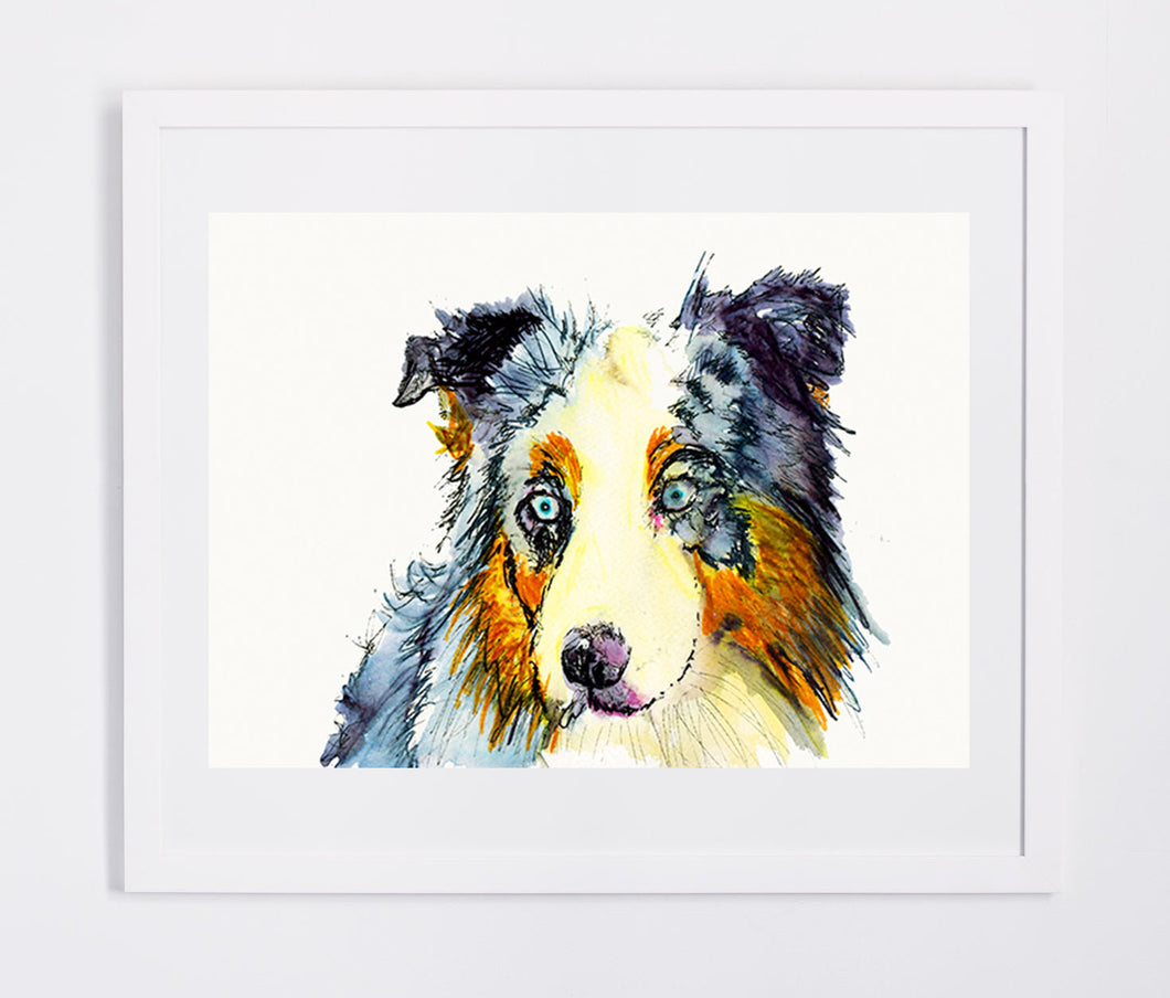 Australian shepherd dog Painting watercolor art print - Dog portraits by Oscar Jetson