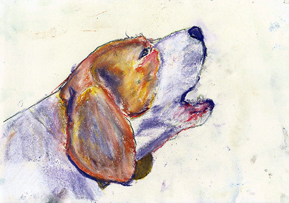 Beagle dog art print Colorful Soft pastel Painting,home decor, Beagle owner gift, Dog art, Ochre,rich purple and pink Beagle dog print - Dog portraits by Oscar Jetson
