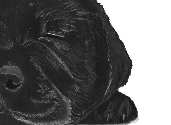 Black lab owner gift,Labrador puppy art print,dog loss gift,black labgift idea,lab wall art,dog lover gift,black lab art print - Dog portraits by Oscar Jetson