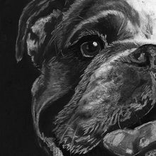 Load image into Gallery viewer, English Bulldog gift, English bulldog art, bulldog drawing,black and white giclee print, charcoal bulldog portrait, English bulldog owner - Dog portraits by Oscar Jetson