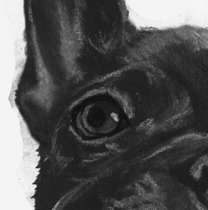 French bulldog art print, Frenchie gift,Frenchie Art, Black frenchie, French Bulldog decor, French Bulldog owner gift, Frenchie art print - Dog portraits by Oscar Jetson