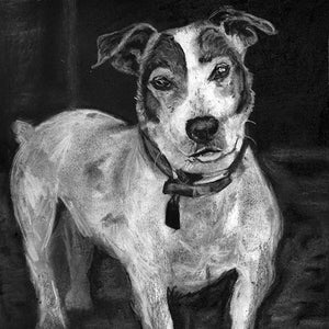 Jack Russell art print, Jack Russell Terrier,JRT mom gift, Jack Russell wall art,dog portrait, Jack Russell print, Dog art, JRT gift idea - Dog portraits by Oscar Jetson