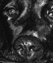Load image into Gallery viewer, Black Labrador print, Charcoal Lab artwork, Black Lab dog portrait, Labrador dog gift, Dog drawing, Black and white picture, Labrador print - Dog portraits by Oscar Jetson
