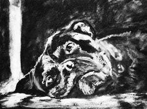 Boxer Dog art print, charcoal boxer dog, lazy boxer dog, dog drawing, giclee print, dog portrait, Boxer dog gift , Boxer charcoal drawing - Dog portraits by Oscar Jetson