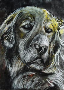 Golden retriever print, charcoal Golden retriever drawing,dog gift, giclee print,dog portrait, golden retriever dog print - Dog portraits by Oscar Jetson