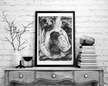 Load image into Gallery viewer, English bulldog print, charcoal english bulldog drawing,dog gift, giclee print,dog portrait, bullddog puppy,bulldogs, english bulldog print - Dog portraits by Oscar Jetson