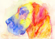 Load image into Gallery viewer, Great Dane Dog art print dog painting Giclee Print colorful modern art Great Dane gift idea Great dane watercolor painting Great Dane print - Dog portraits by Oscar Jetson