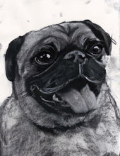 Load image into Gallery viewer, Custom Charcoal Dog Portraits by Oscar Jetson